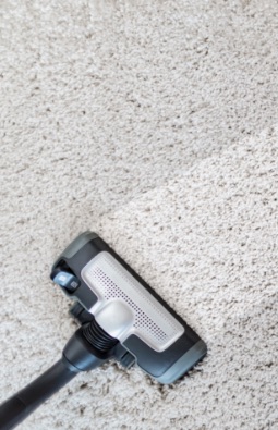 Basic Domestic Cleaning